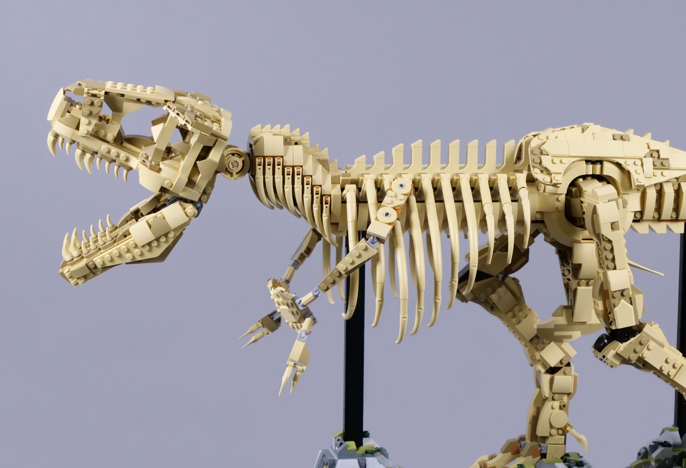 LEGO 76968 Dinosaur Fossils: Tyrannosaurus rex review | Brickset